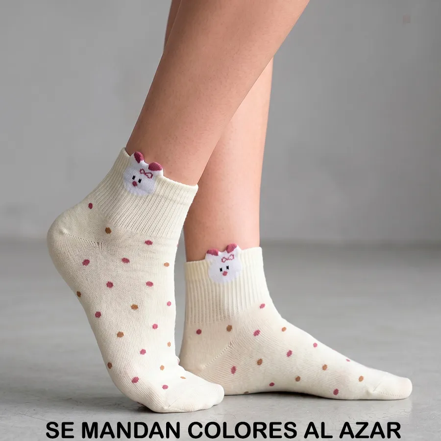 BE6016 EDICION 11877